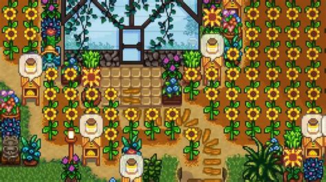 How to get sunflowers stardew valley - 8 The Field Is Covered. Just like with the original farm, the island farm is covered in weeds, sticks, stones, and hardwood. The island farm is much smaller than the standard one, but you should still expect to spend a full day clearing out the field so that it can all be used for growing crops.